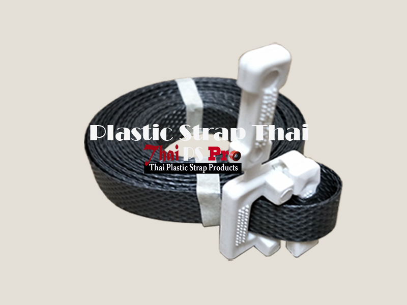 Strap with Buckle