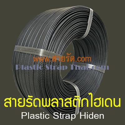 สายรัดไฮเดน